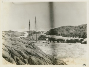 Image of Bowdoin tucked away for protection from ice
